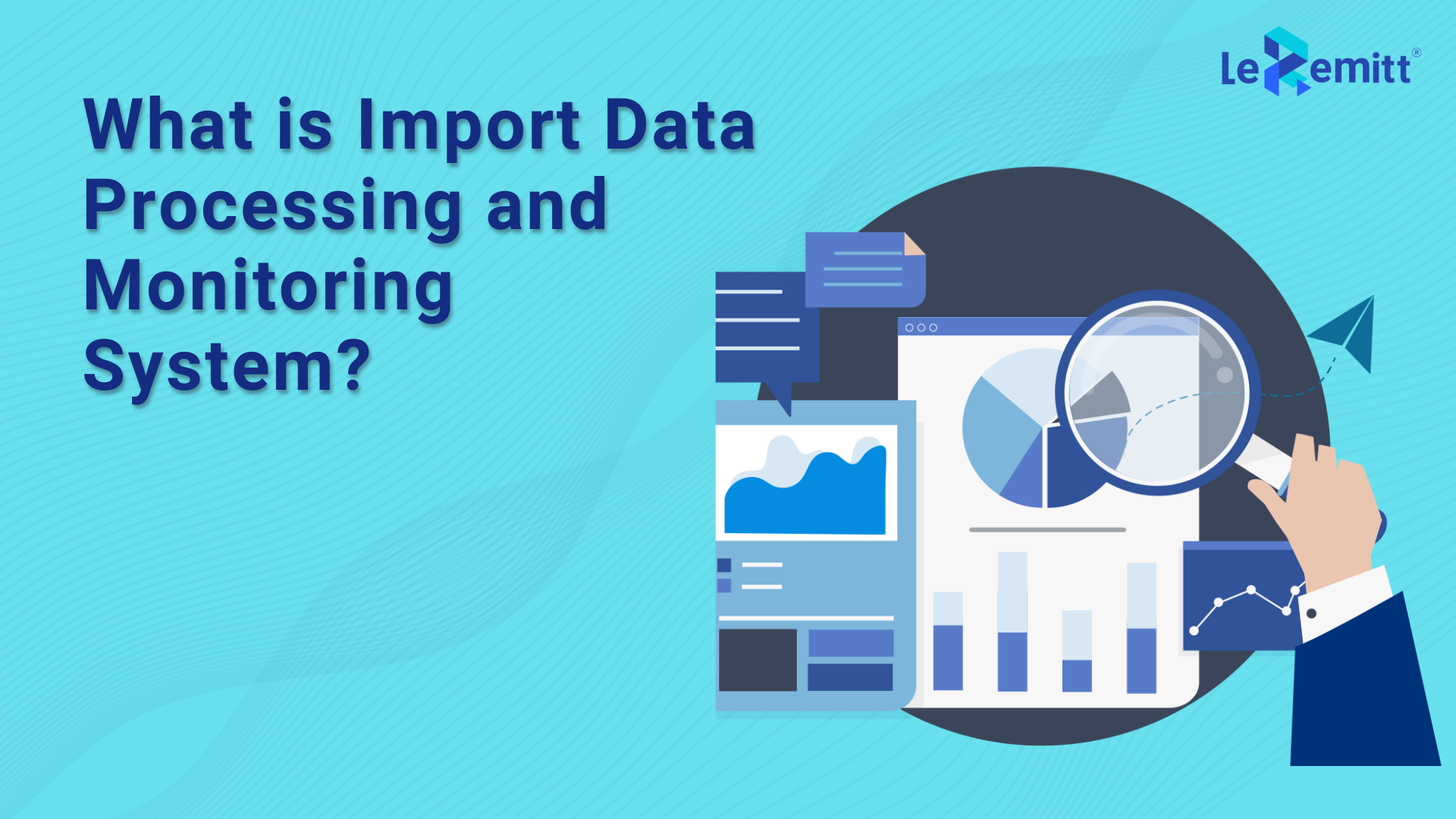 What is Import Data Processing and Monitoring System (IDPMS)